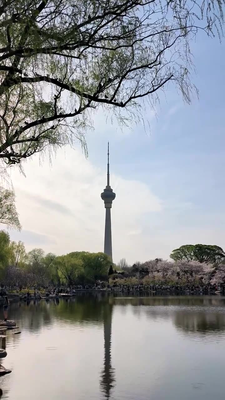 北京春天玉渊潭公园湖面蓝天柳树风光视频素材