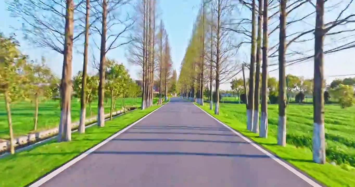 乡村道路和自然风景在春天视频素材