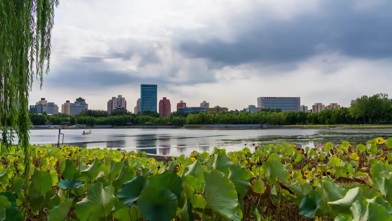 北京莲花池公园北京西站夏天视频素材