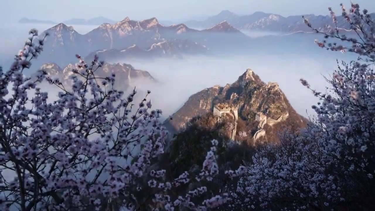 箭扣长城云海桃花视频素材