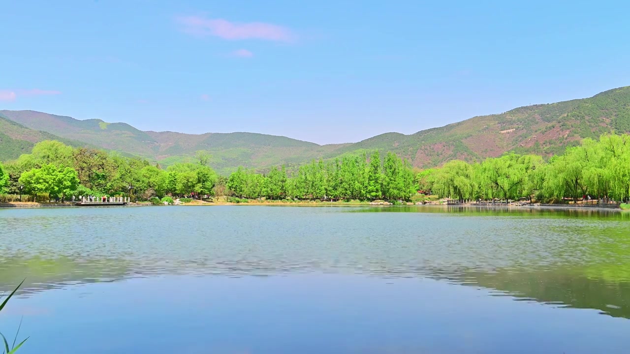 北京国家植物园春天公园山水风景蓝天白云湖面水中倒影视频素材