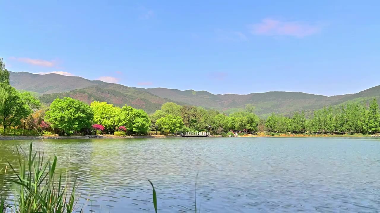 北京国家植物园春天公园山水风景蓝天白云湖面水中倒影视频素材