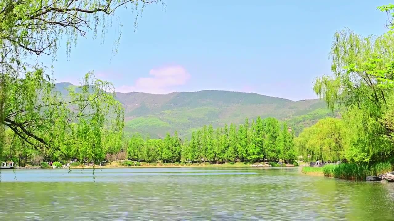 北京国家植物园春天公园山水风景蓝天白云湖面水中倒影视频素材