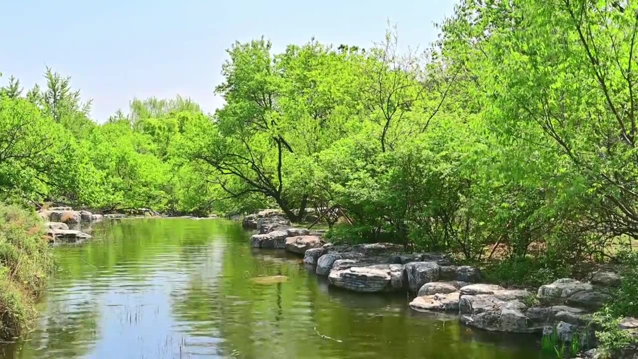 北京国家植物园春天公园山水风景蓝天白云湖面水中倒影视频素材