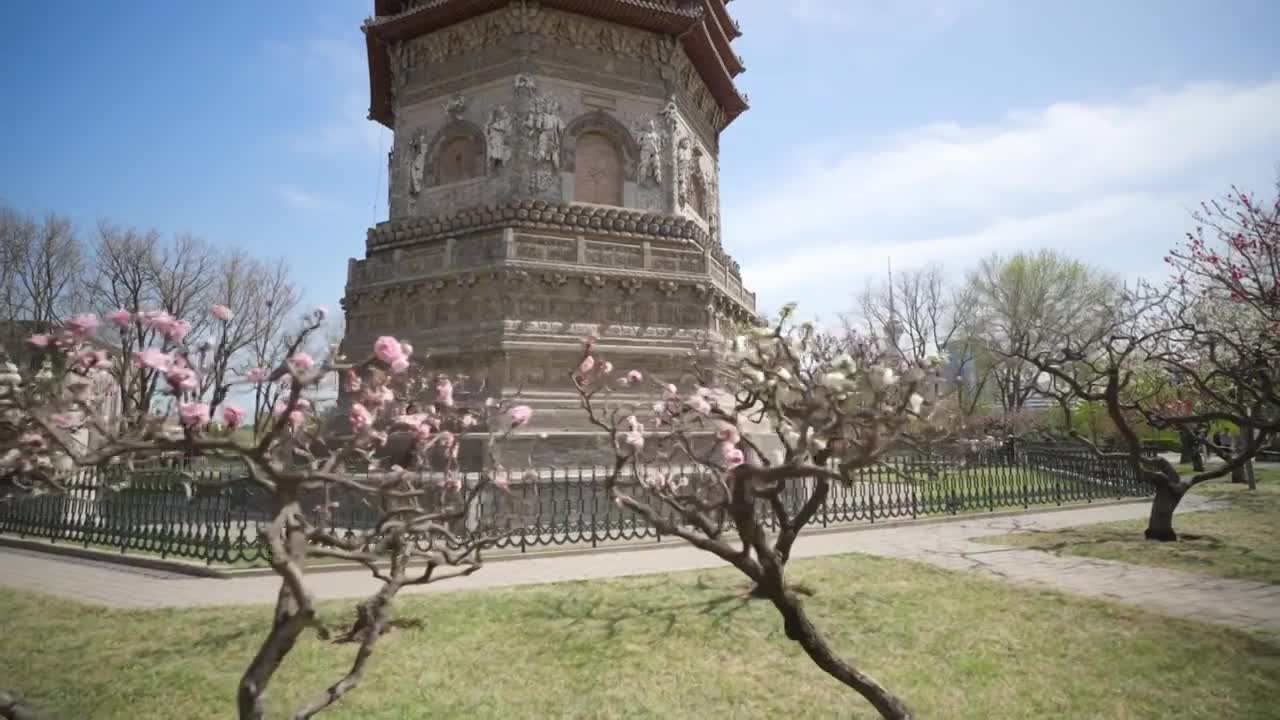 北京慈寿寺玲珑塔春暖花开视频素材