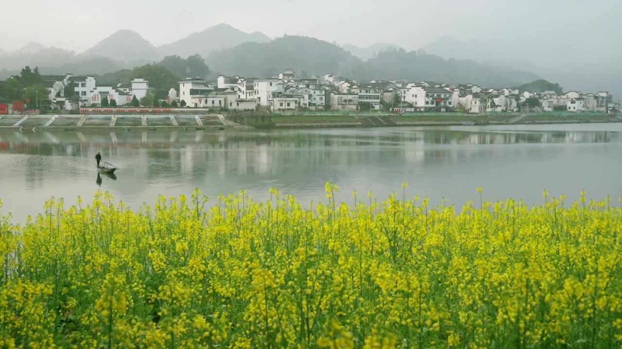 安徽新安江山水画廊春天油菜花云雾渔船视频素材