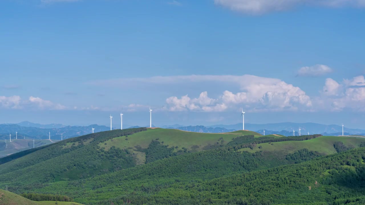 河北承德坝上百里天路草原森林草场牛蓝天白云清洁能源风力发电视频素材