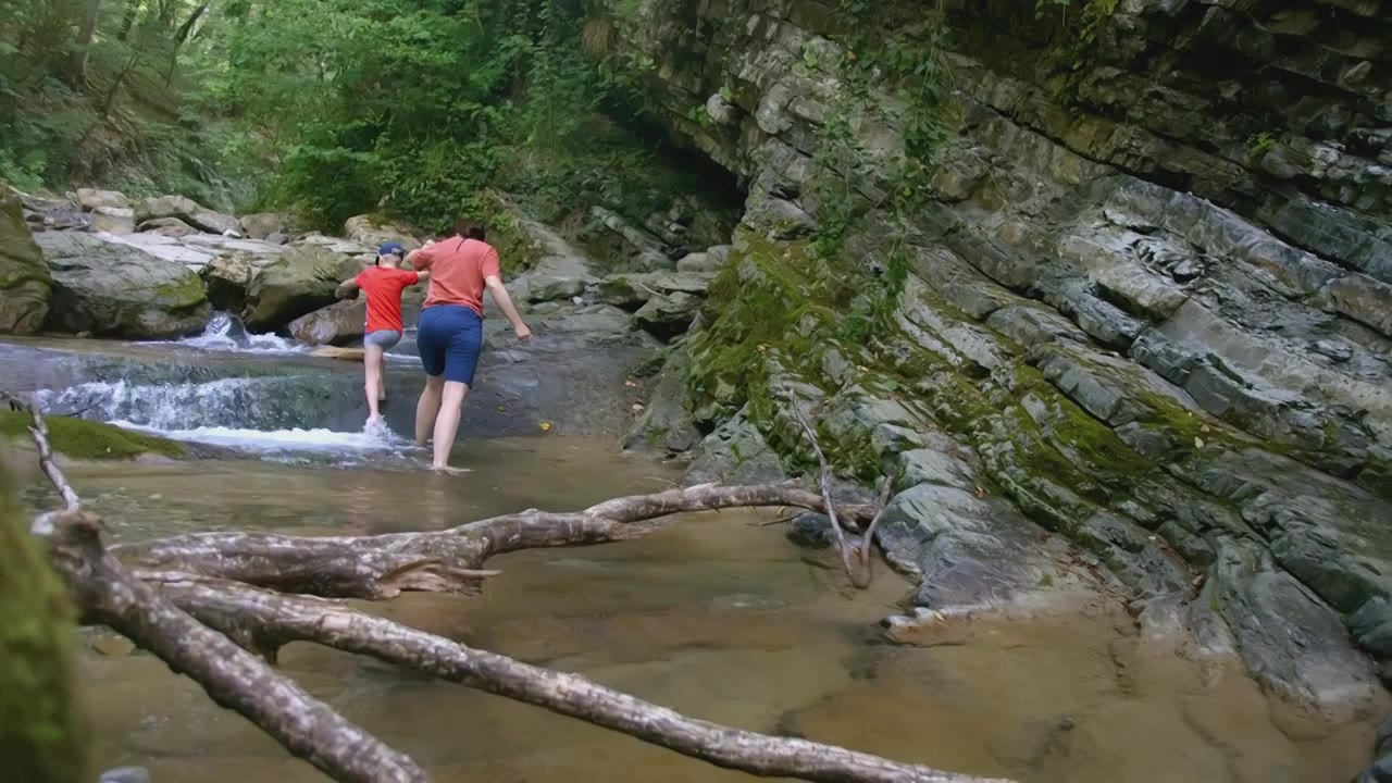 丛林中的河流。有创造力。在绿油油的丛林里，两个人在忙忙碌碌视频素材