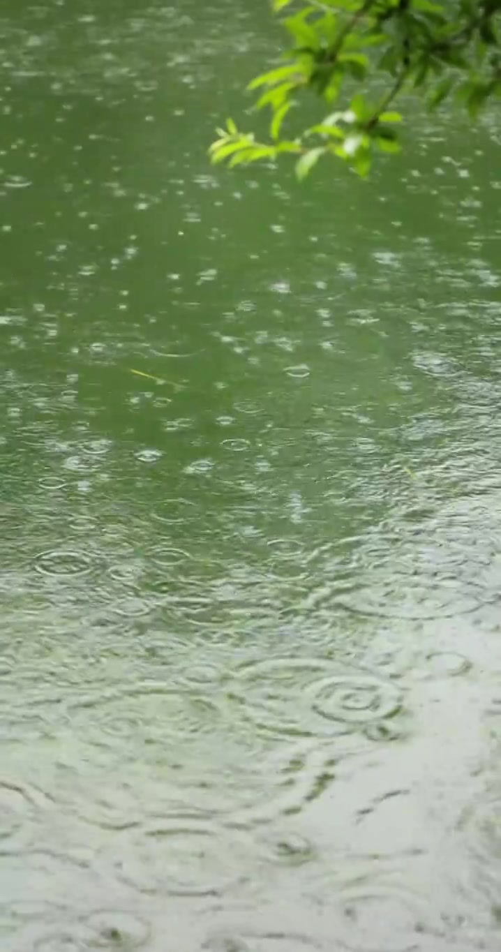 （慢镜）下雨天雨水落在湖面上竖版竖屏视频素材