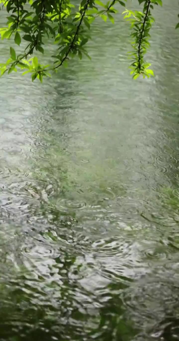 （慢镜）下雨天雨水落在湖面上竖版竖屏视频素材