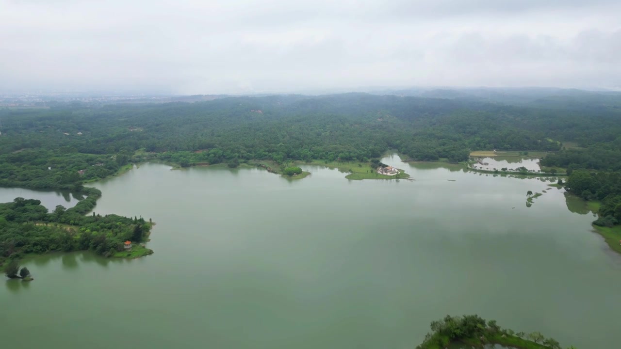 湛江三岭山森林公园视频素材