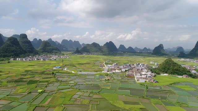 秋天里群山环抱成片的金黄色稻田视频素材