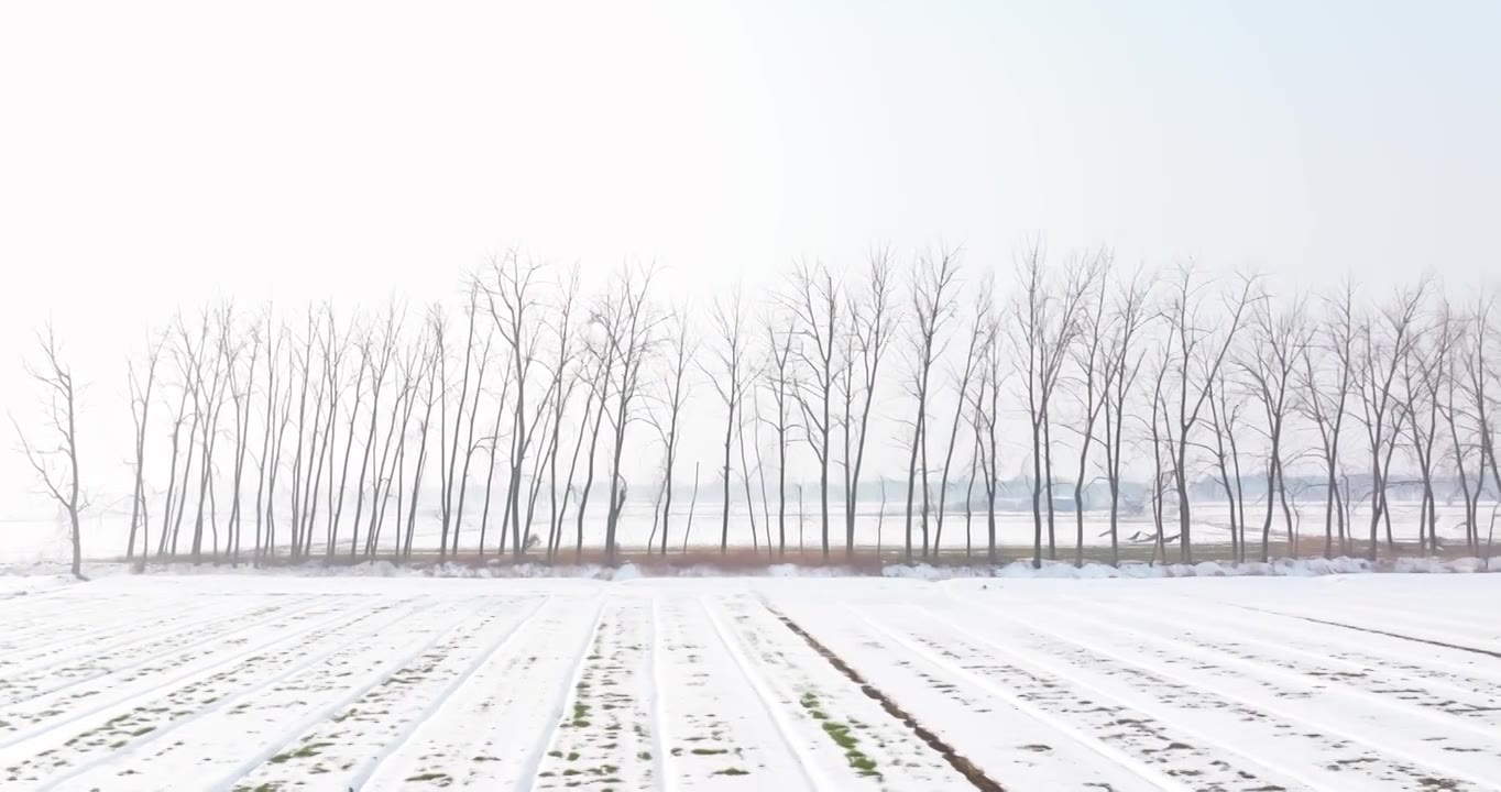 北方农村冬季雪后航拍视频素材