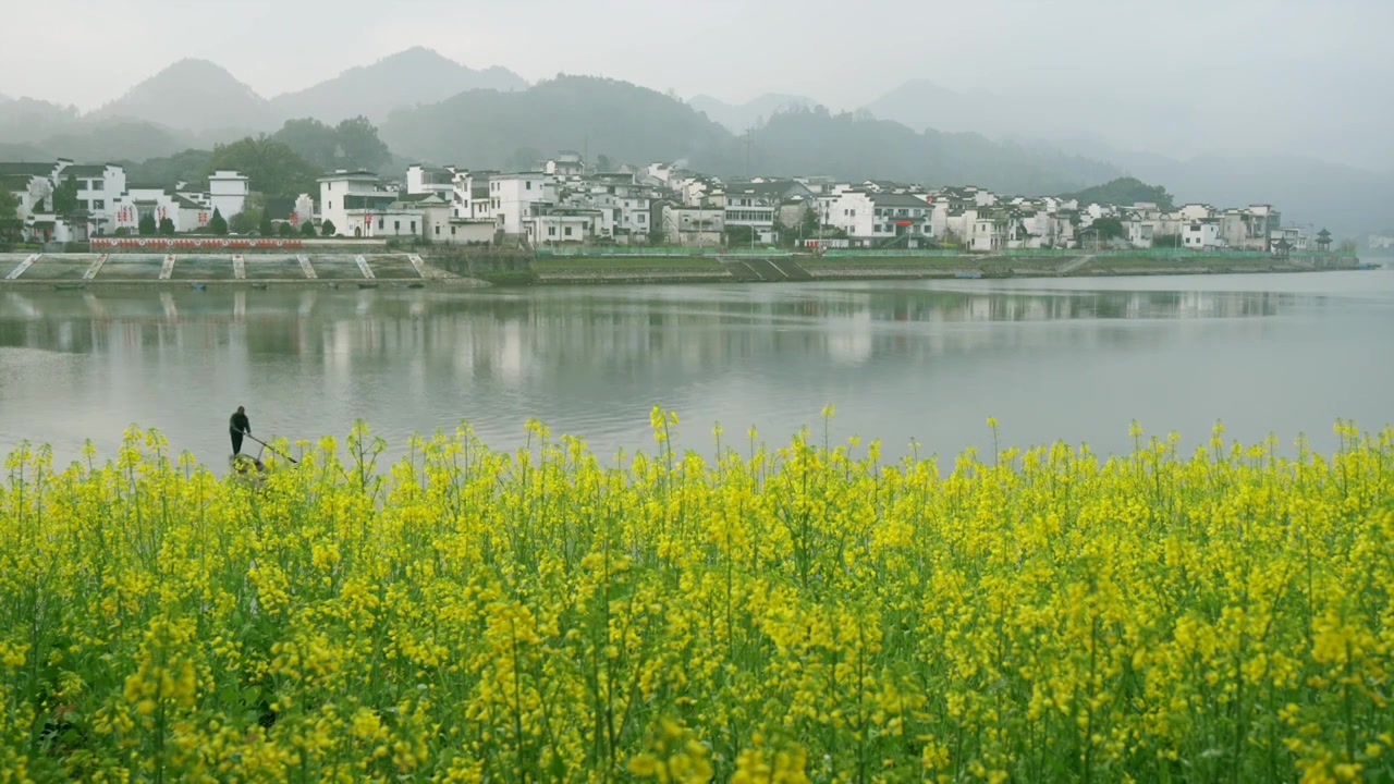 安徽新安江山水画廊春天油菜花云雾渔船视频素材