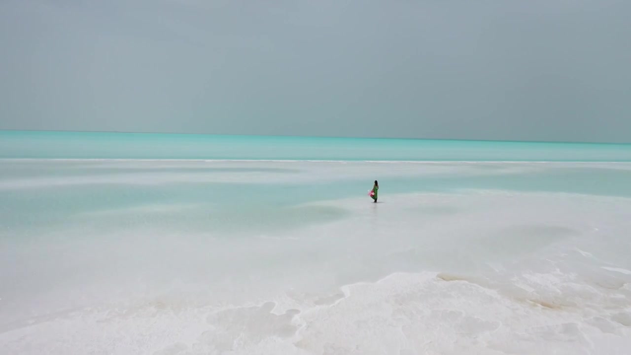 大西北旅游风景航拍图东台吉乃尔湖视频下载