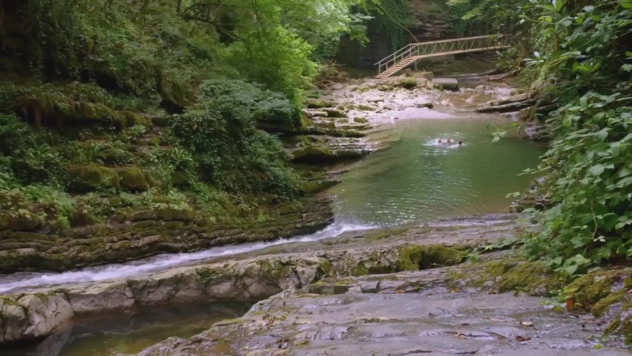 一条小山河在丛林中流淌。有创造力。褐色的石头视频素材