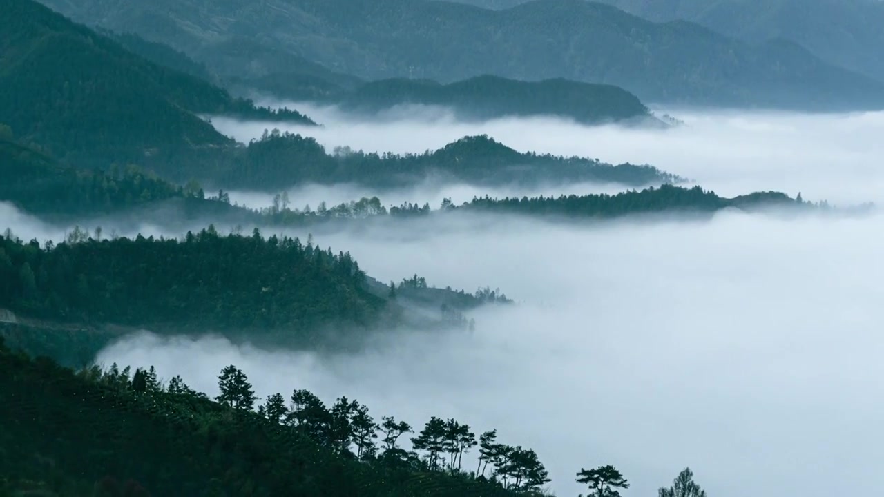 水墨坡山村视频下载