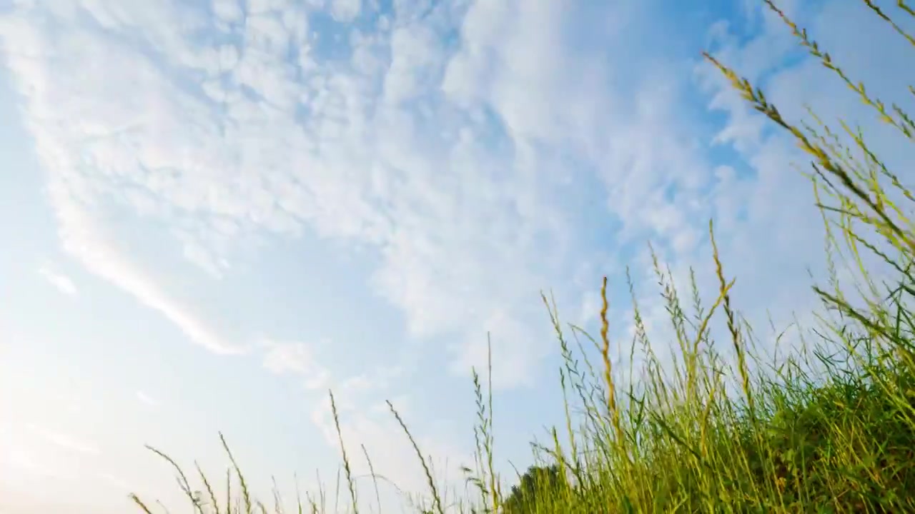 夏天 清晨 草地 天空 云 风景 延时视频素材