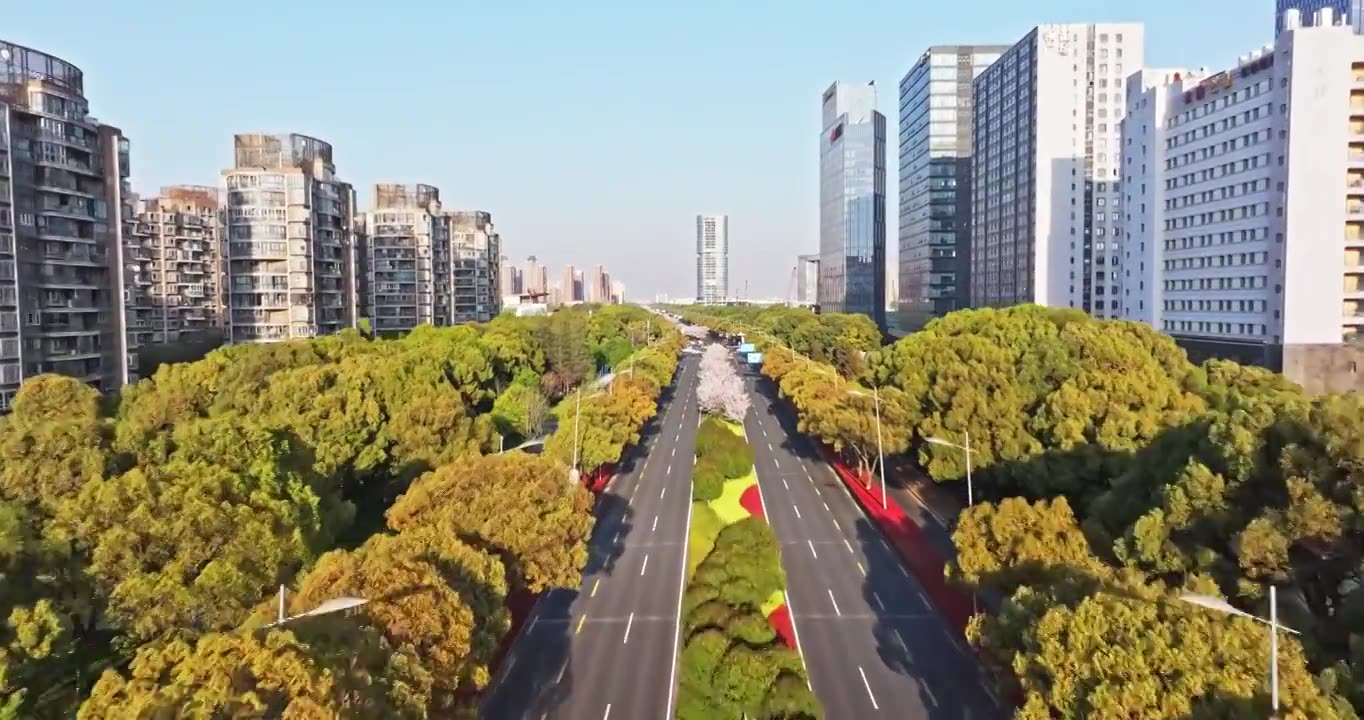 春天的樱花与城市街道，苏州工业园区视频素材