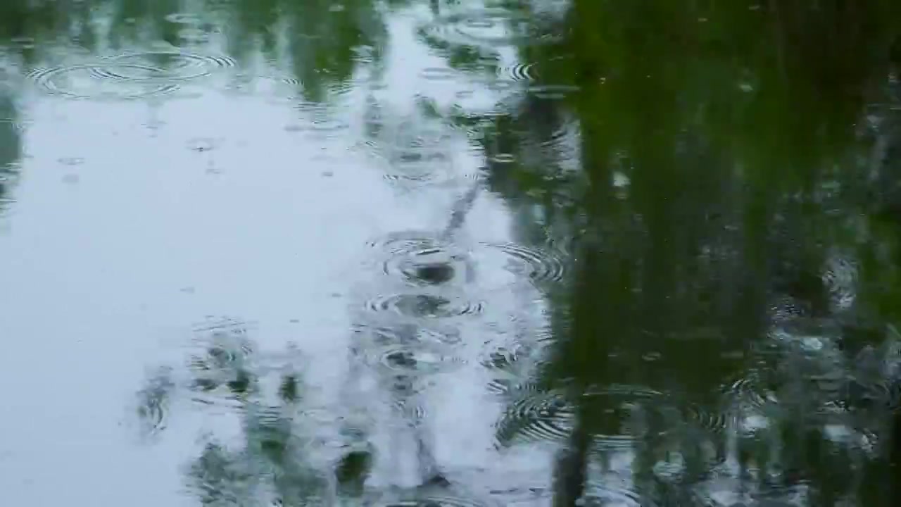 下雨天雨水落在池塘里泛起波纹和涟漪的治愈系风景视频素材