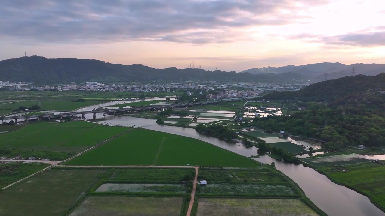 春天稻田风景航拍视频素材