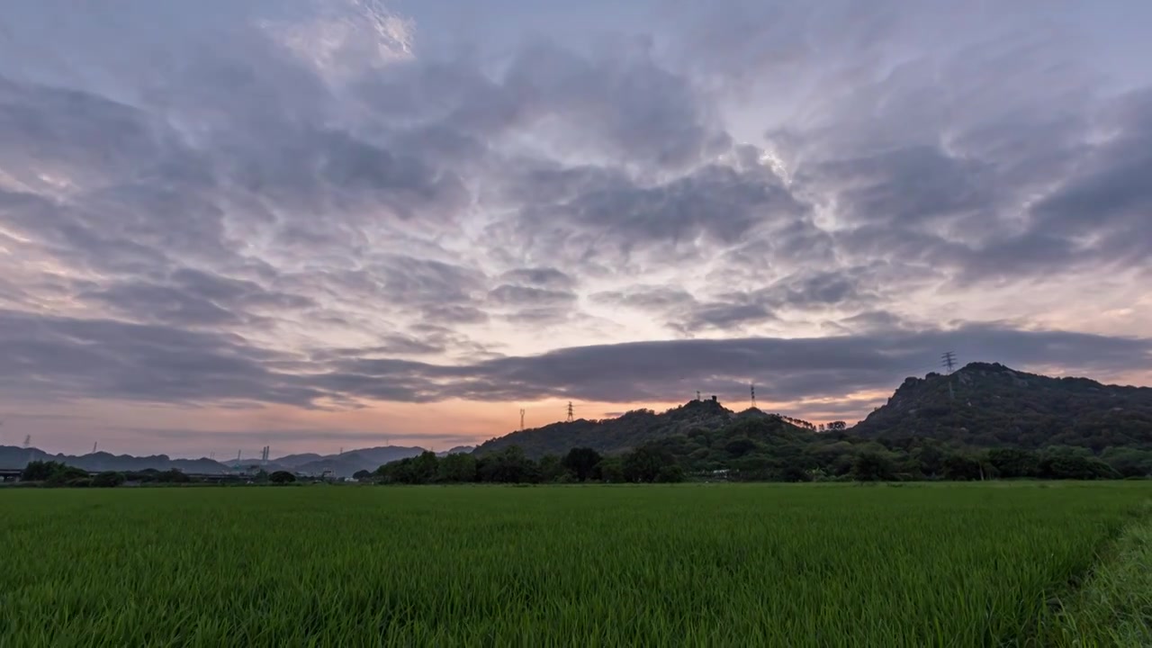 稻田日落延时视频素材