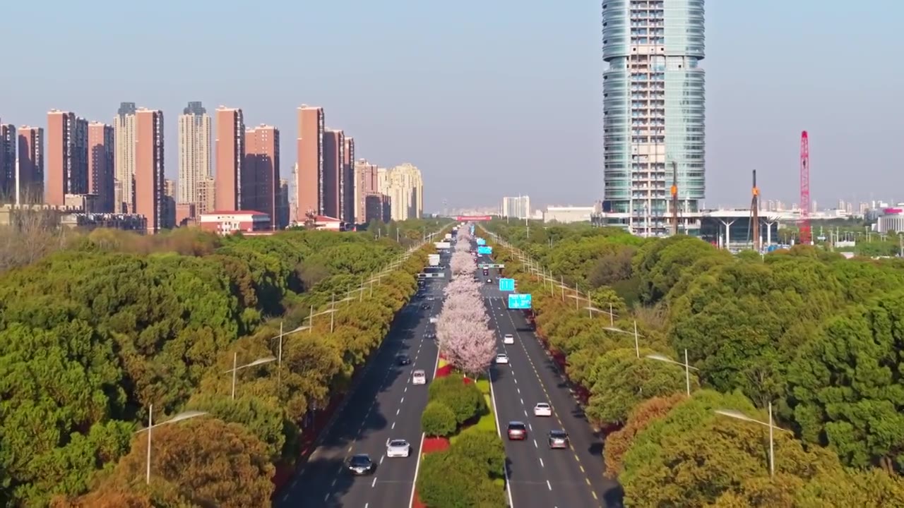 春天的樱花与城市街道，苏州工业园区视频素材