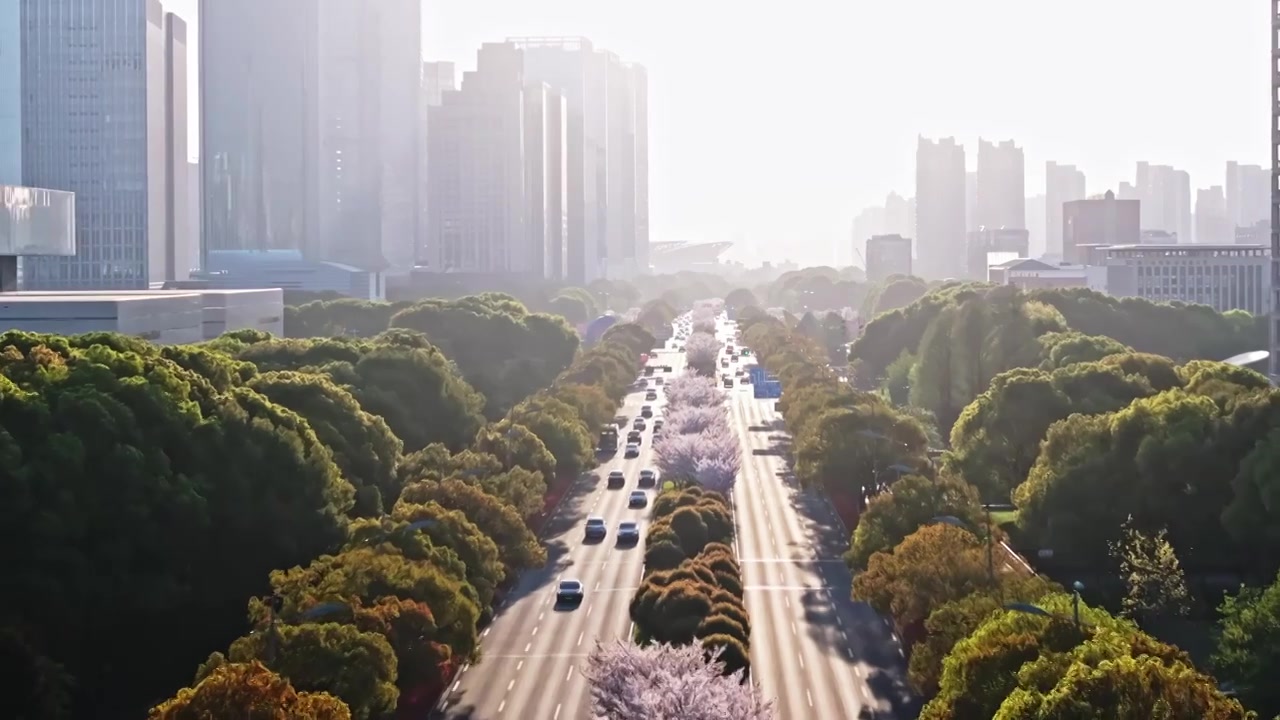 春天的樱花与城市街道，苏州工业园区视频素材