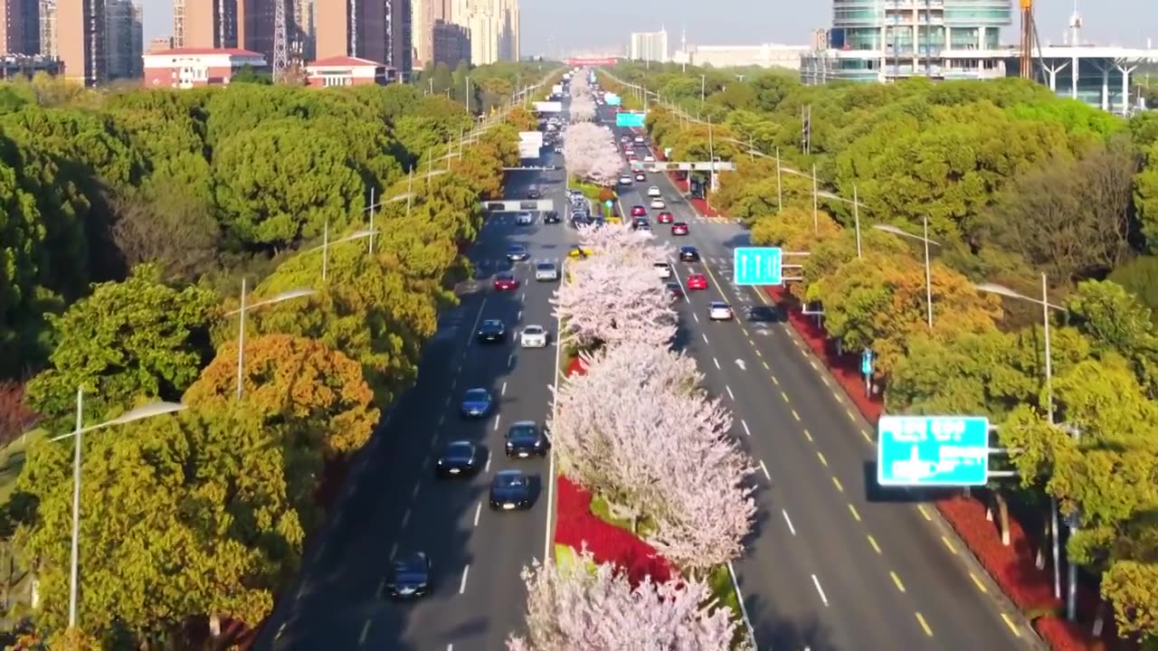 春天的樱花与城市街道，苏州工业园区视频素材