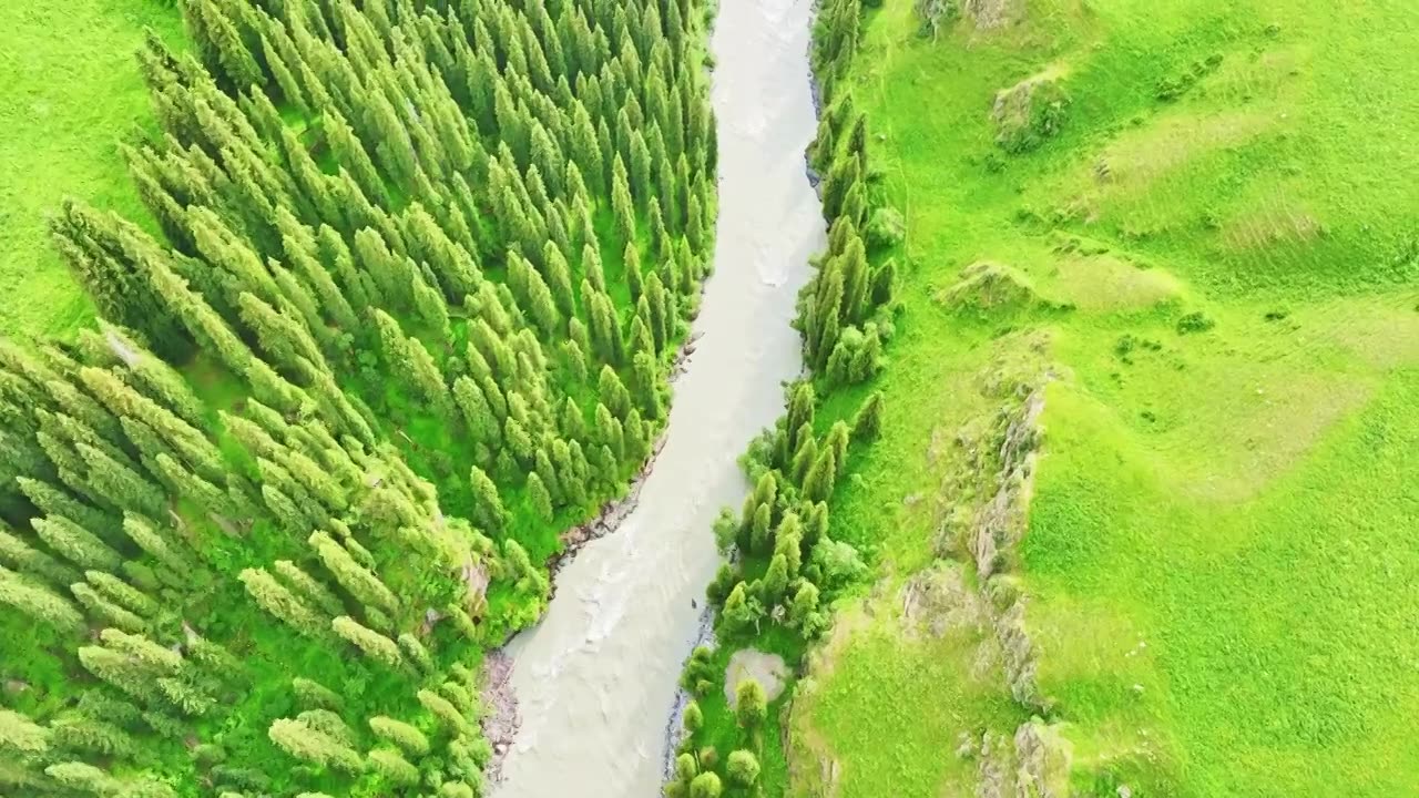 唐布拉草原百里画廊HDR航拍视频素材