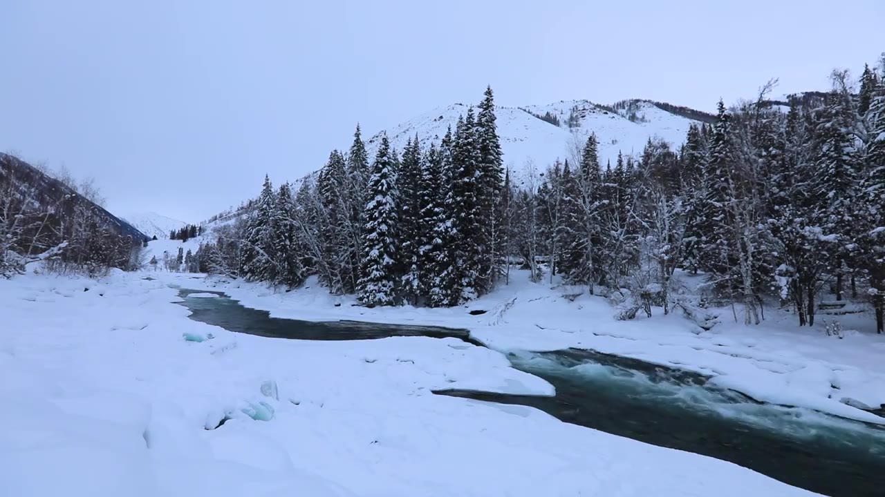 冬天新疆喀纳斯河的雪景视频下载