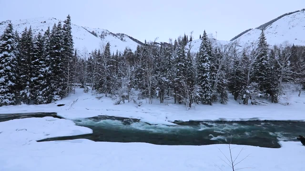 冬天新疆喀纳斯河的雪景视频素材