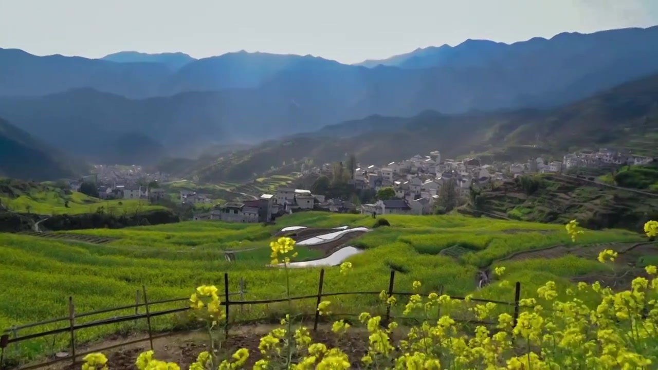 上坦村的油菜花梯田视频素材