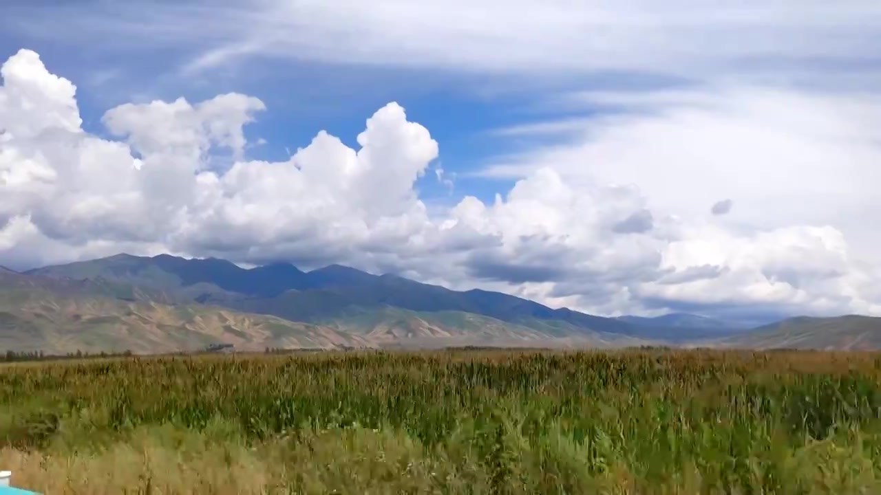 新疆伊犁草原风光山川风景全景视频素材