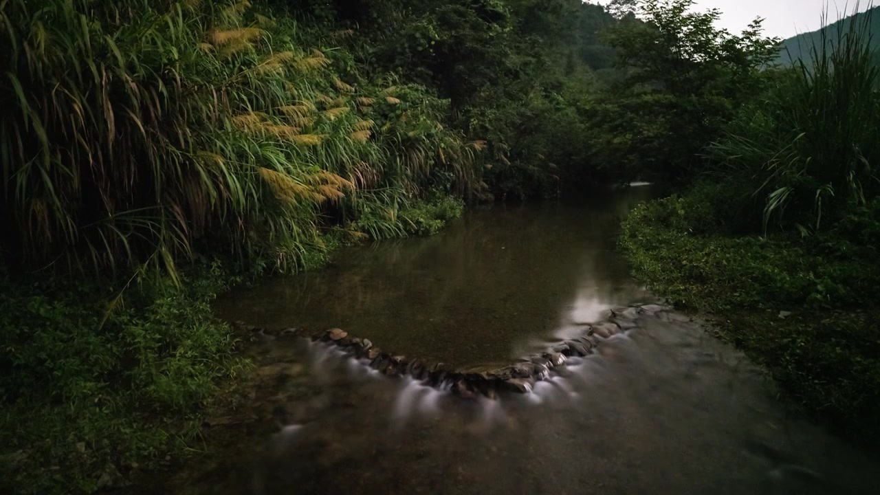 4K夏季农村小溪萤火虫延时视频素材