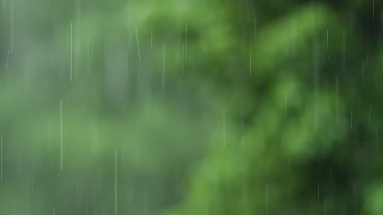 暴雨在散焦的绿色森林的背景上视频素材