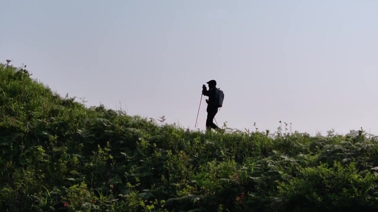 徒步登山旅行的年轻人视频下载