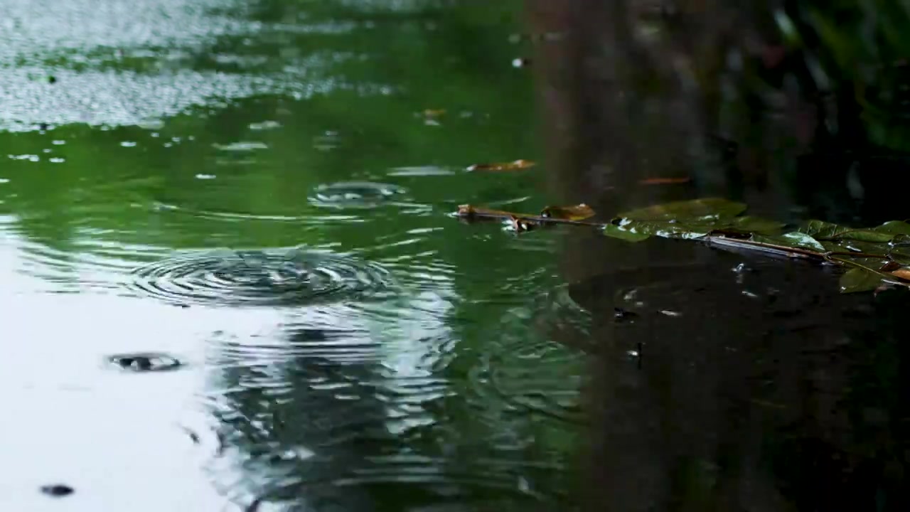 下雨天雨水雨滴的水花和波纹视频素材