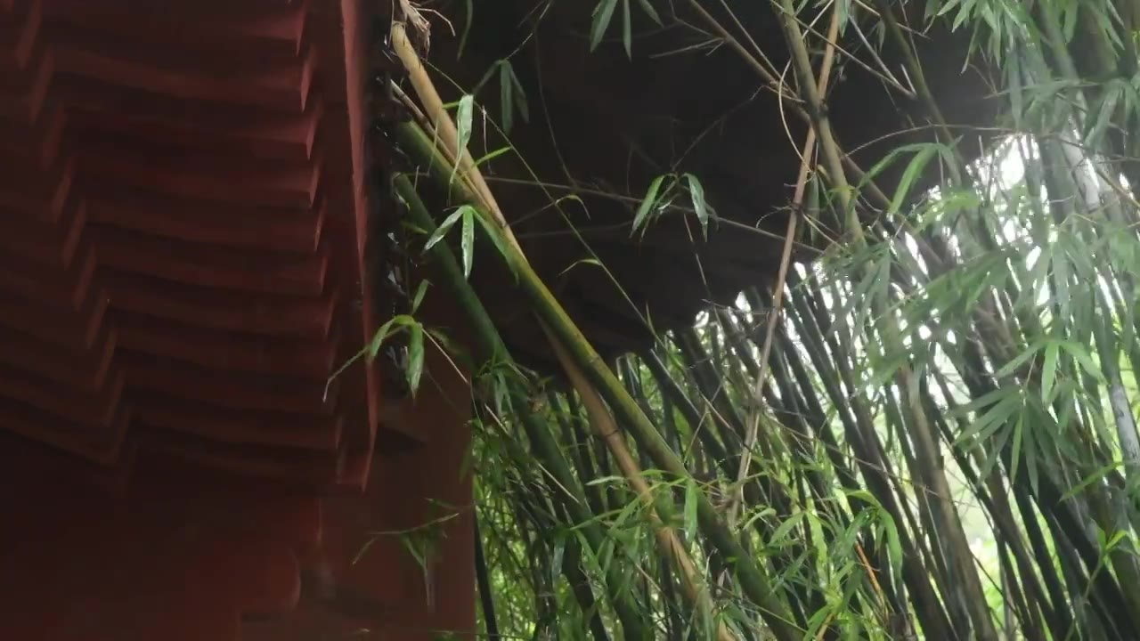 雨天古风建筑屋檐下雨水滴意境视频素材