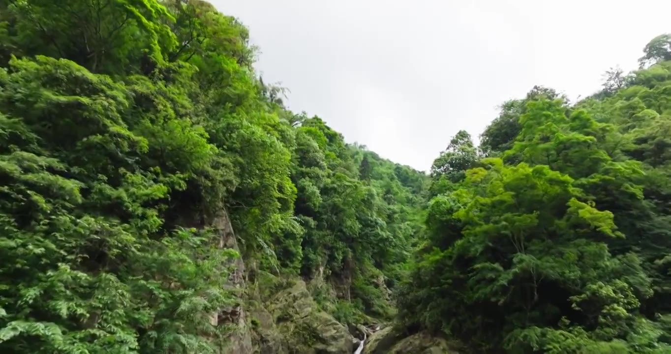 航拍都江堰龙池自然保护区瀑布山林风景视频素材