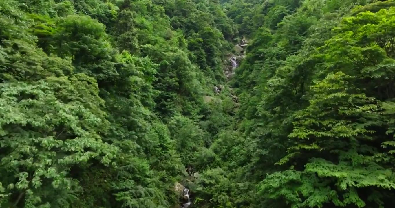 航拍都江堰龙池自然保护区瀑布山林风景视频素材