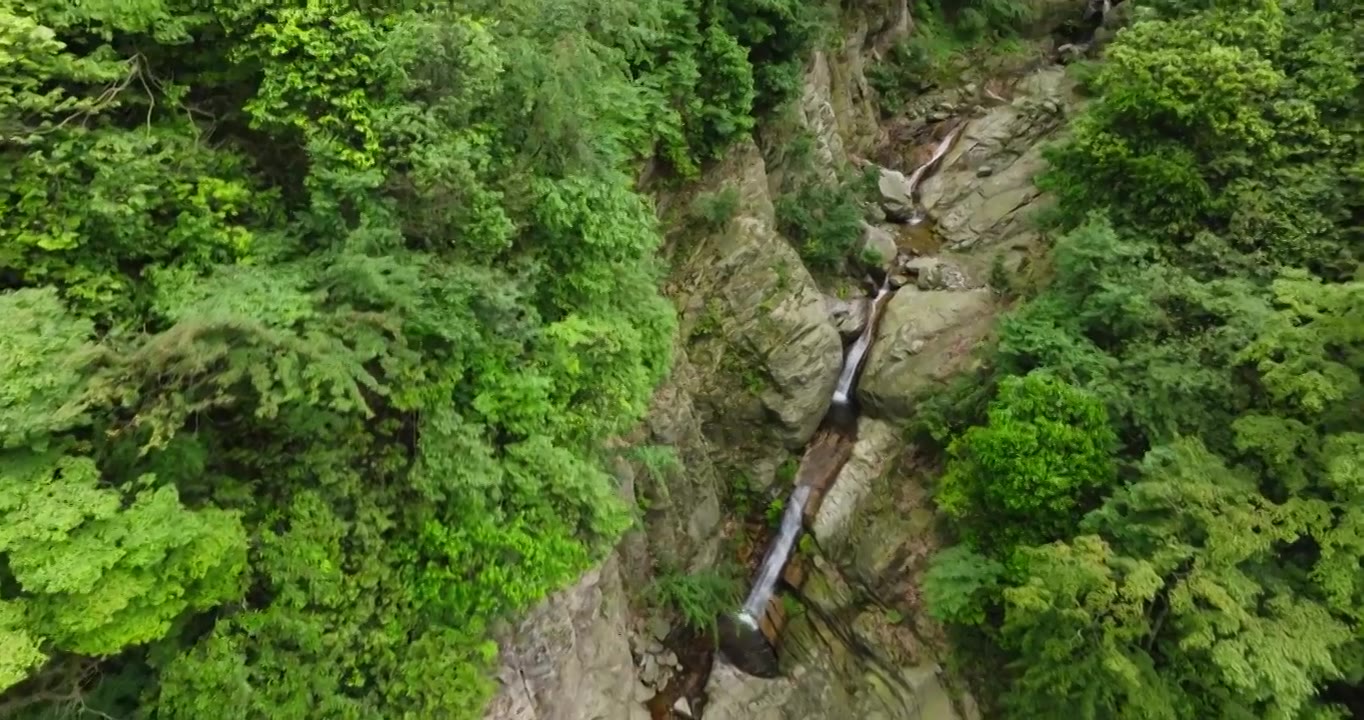 航拍都江堰龙池自然保护区瀑布山林风景视频素材