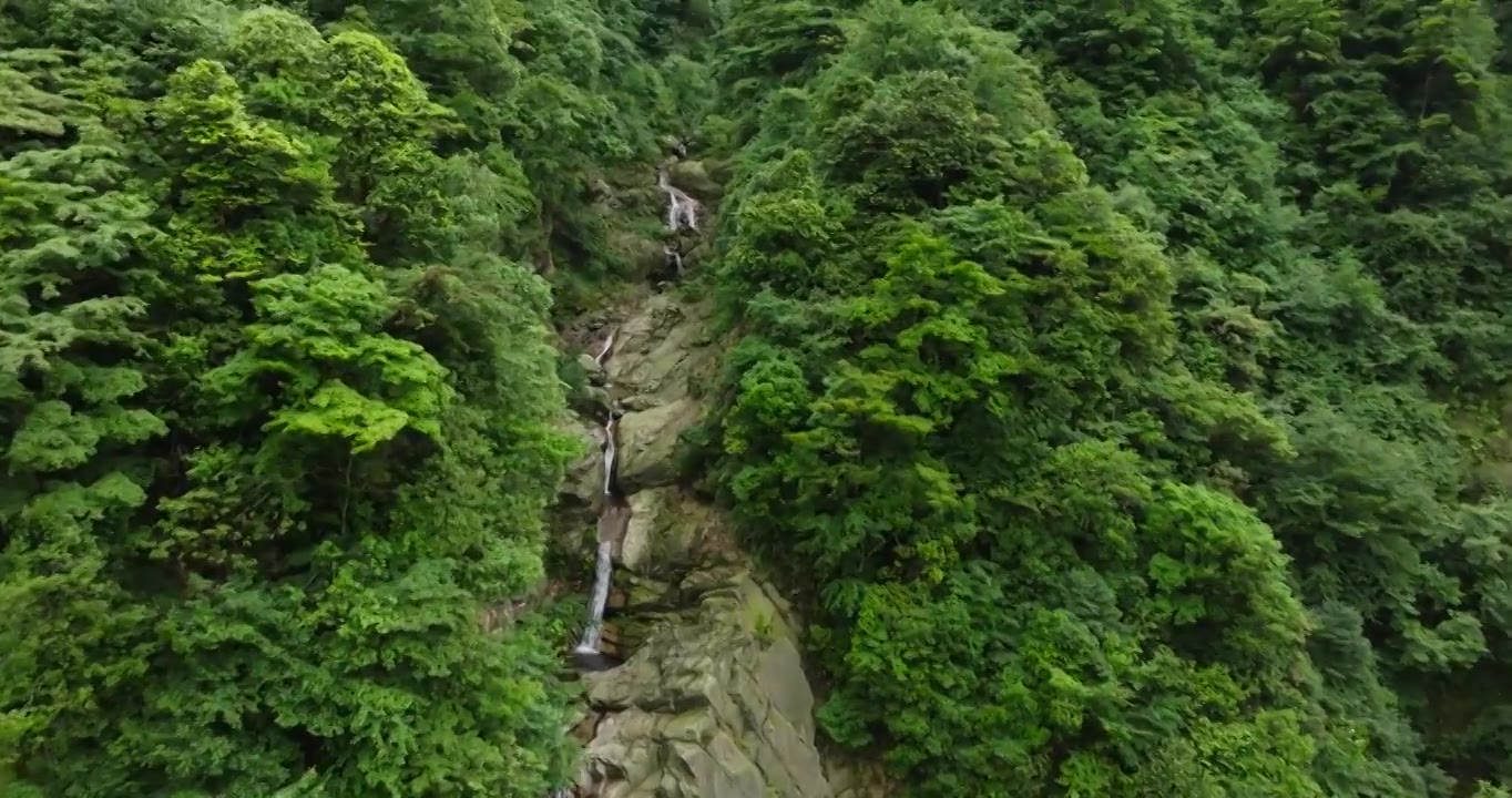 航拍都江堰龙池自然保护区瀑布山林风景视频素材