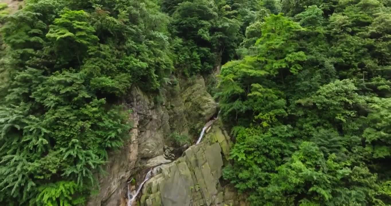 长镜头航拍都江堰龙池自然保护区瀑布山林风景视频素材