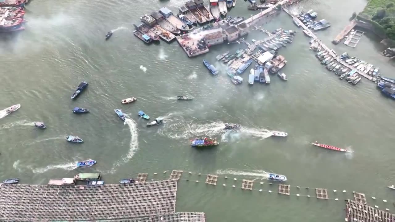 端午节龙门港龙舟赛视频下载