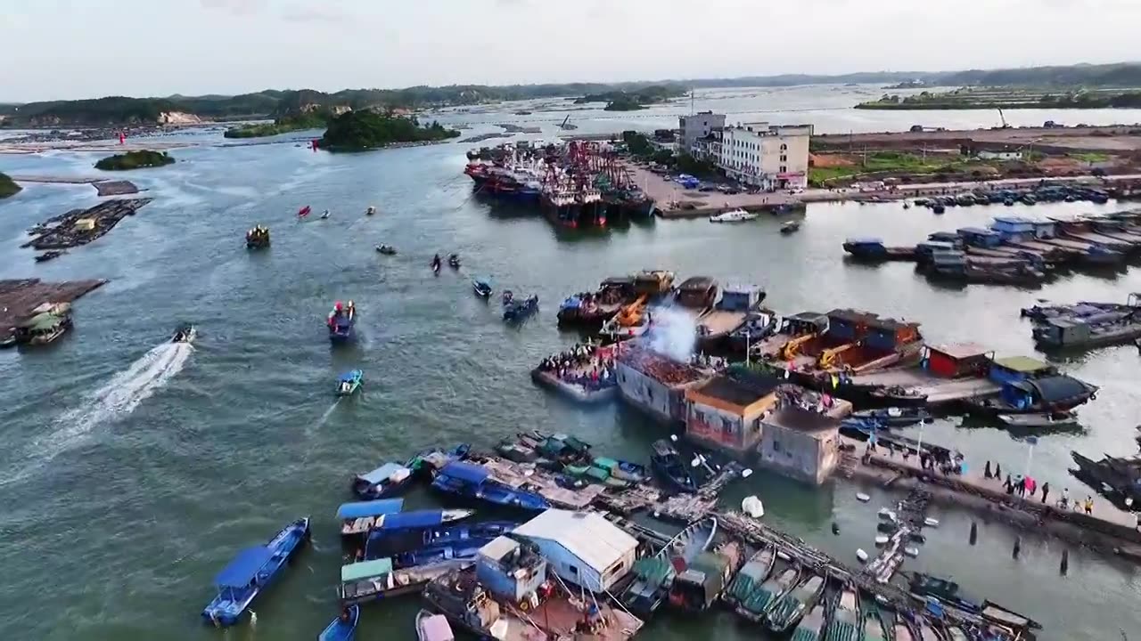 端午节赛龙舟在龙门港视频下载