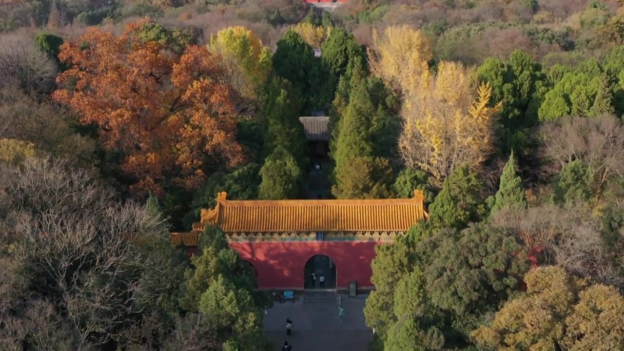 明孝陵秋景视频下载