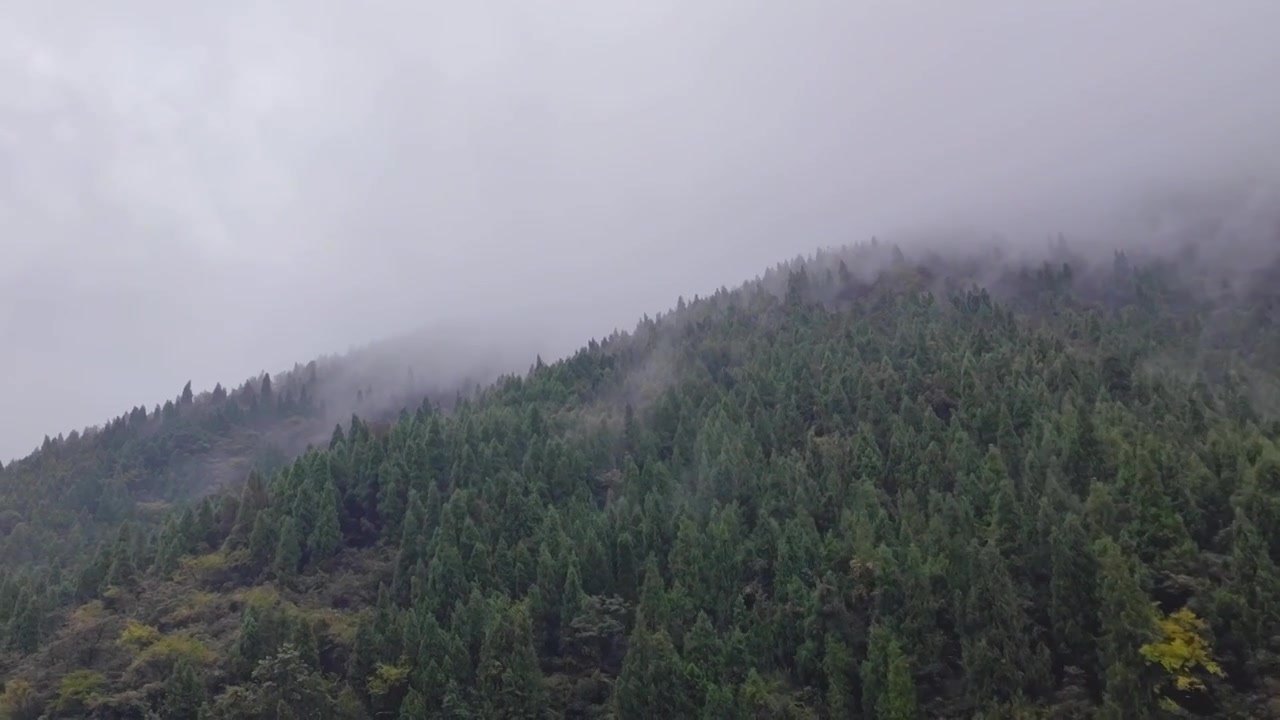 湖北宜昌十里清江画廊长江烟雨中船行风光视频下载