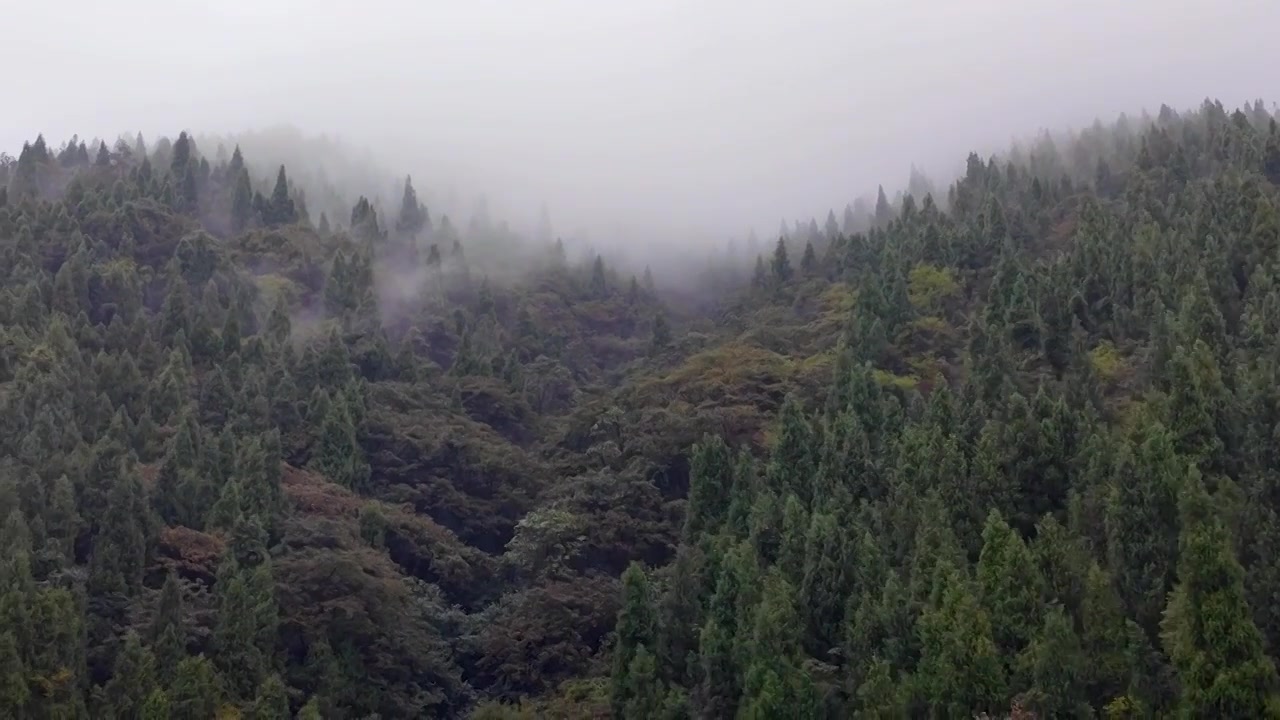 湖北宜昌十里清江画廊长江烟雨中船行风光视频素材