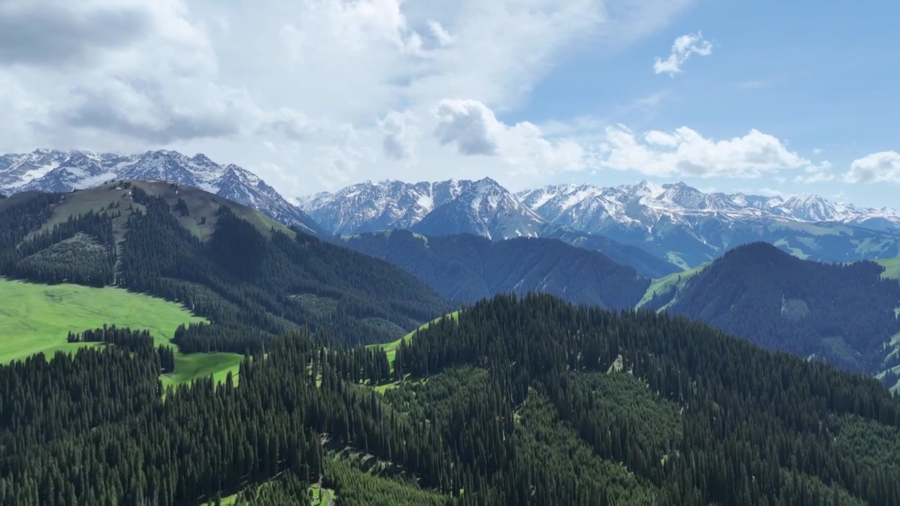 雪山 森林 草原 清新的大自然新疆天然牧场视频素材